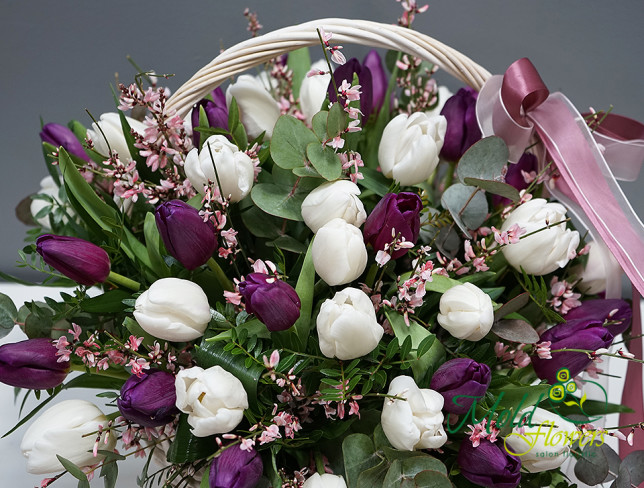 Basket with White and Purple Tulips photo